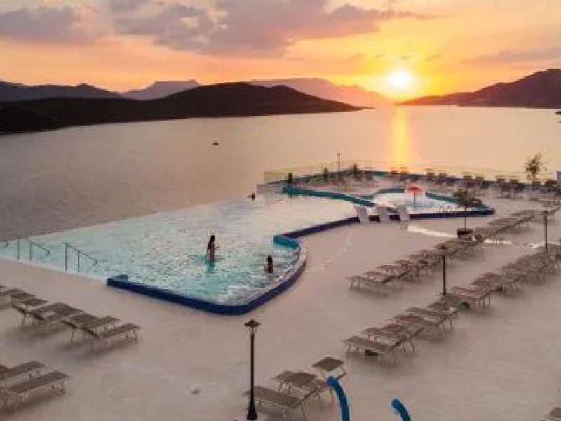 شاهين ترافل