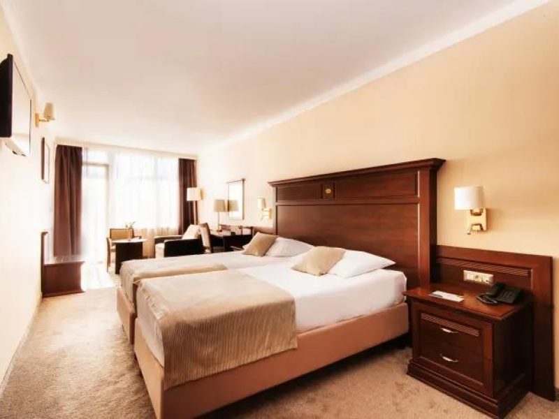 شاهين ترافل