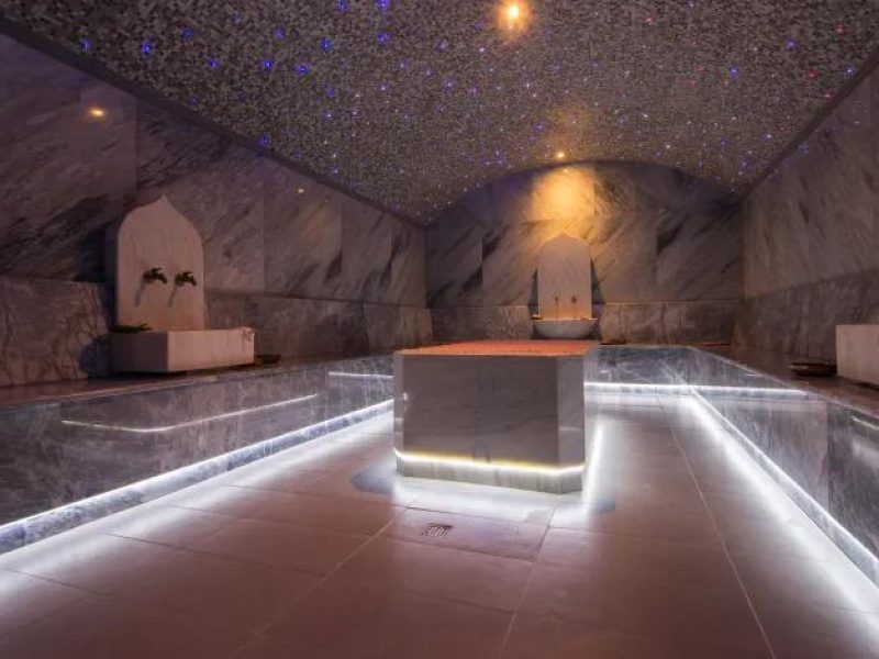 شاهين ترافل