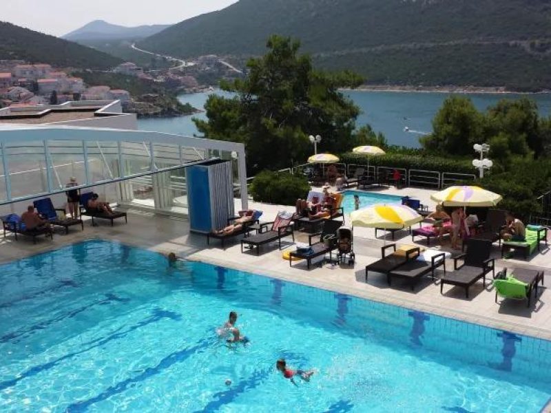 شاهين ترافل