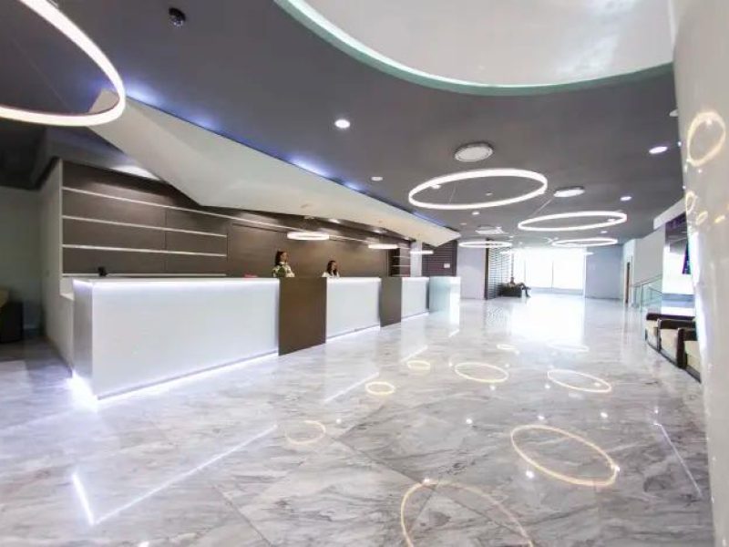 شاهين ترافل