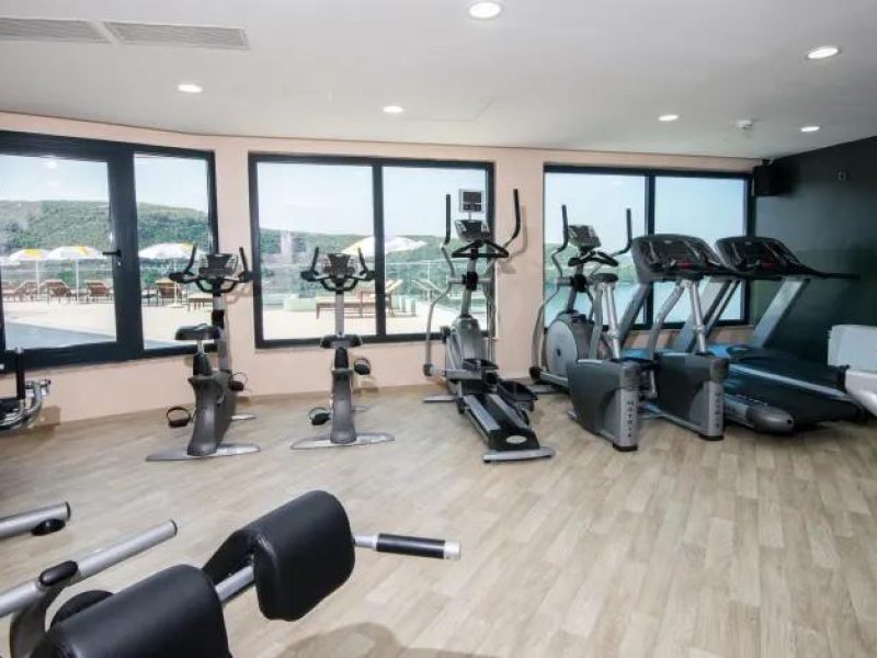 شاهين ترافل