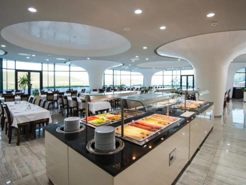 شاهين ترافل