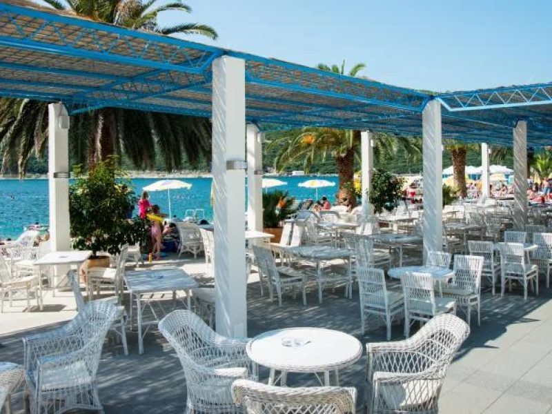 شاهين ترافل