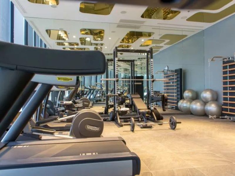 شاهين ترافل