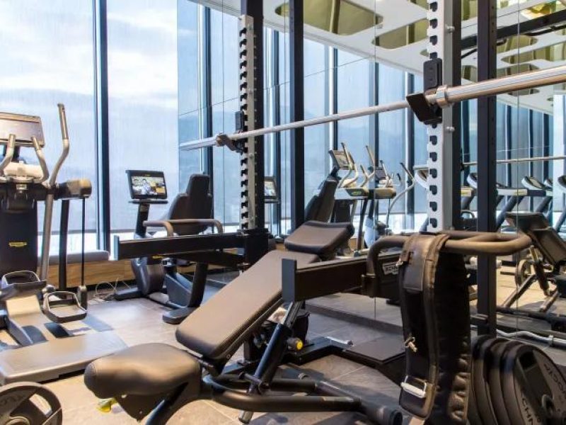 شاهين ترافل